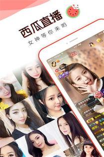 吃瓜直播免费下载,揭秘吃瓜直播免费下载背后的秘密 第1张 吃瓜直播免费下载,揭秘吃瓜直播免费下载背后的秘密 第1张